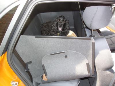 Stabile, klappbare  Hundebox, Rundumschutz bis zu Kopfstützen vorne und hinten und Fenstern an den Türen