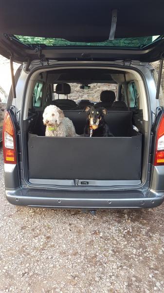 Ein Kofferraumschutz Citroen Berlingo, der aussieht als würde er zur Erstausstattung gehören, incl. des Stoßstangenschutzes