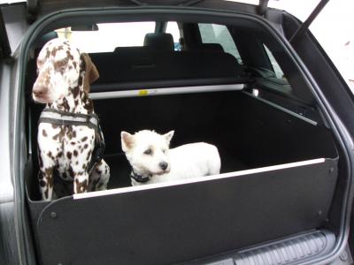 Kofferraumschutz Range Rover Sport. Einzeln umklappbar.