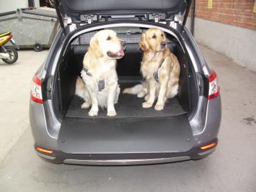 Kofferraumwanne 508 SW