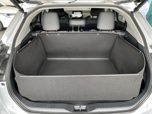 Das ist der Kofferrazumschutz, der selbst bei triefendem Hund trocken bleibt.