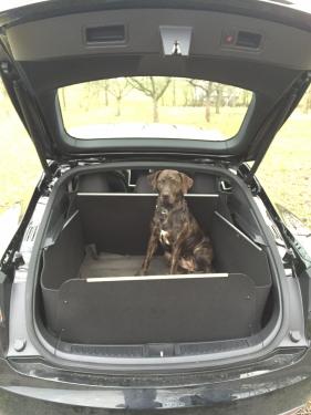 Kofferraumwanne Tesla Model S. Hervorragend geeignet für Ihren Hund. Er hat volle Freiheit und Ihr hochwertiges Fahrzeug zuverlässigen Schutz!