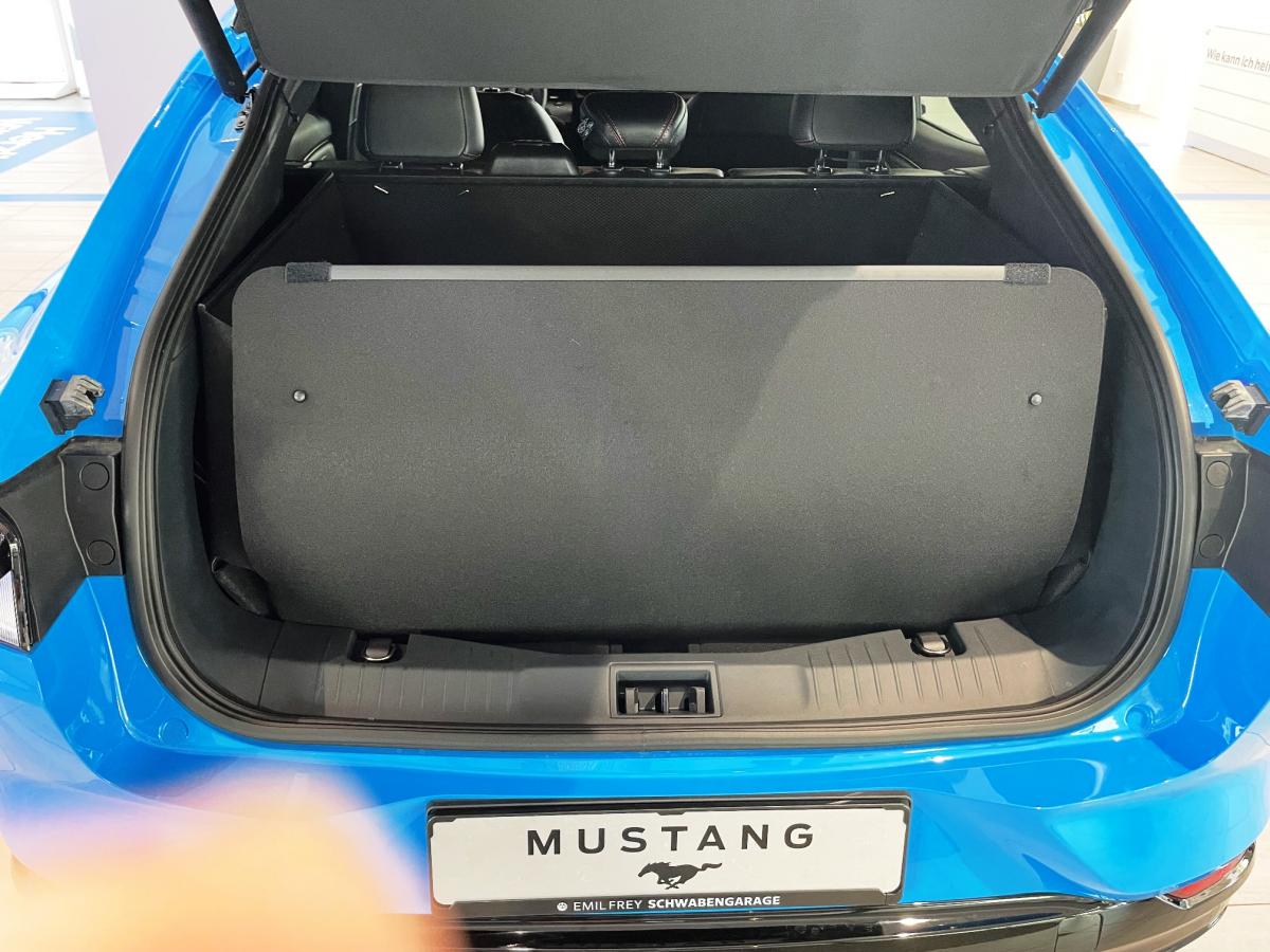 Die Rückenlehnen von Ford Mach e Mustang haben einen soliden Schutz, der unverwüstlich ist beim Transport Ihres Hundes