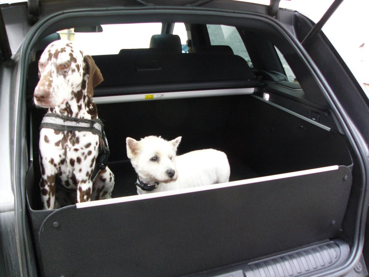 Kofferraumschutz Range Rover Sport . Freie Handlungsfähigkeit