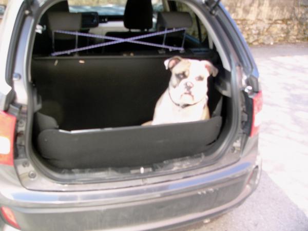 Kofferraumwanne Ignis